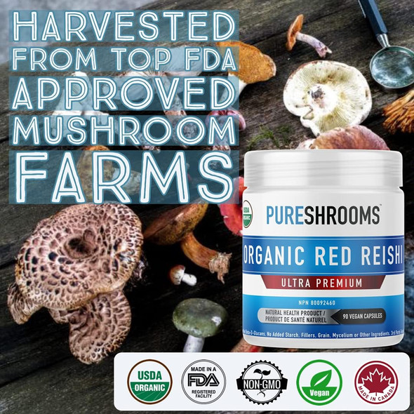 PureShrooms Organic Reishi Mushroom Capsules, 90 Ct. Immune System Booster, Anxiety Relief. Promotes Calm Moods. Ganoderma Lucidum (90 Capsules)