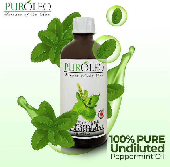 PUROLEO Peppermint Essential Oil, 4 FL OZ/120 ML (Large Bottle) 100% Pure Natural Undiluted, for Aromatherapy (MADE IN CANADA)