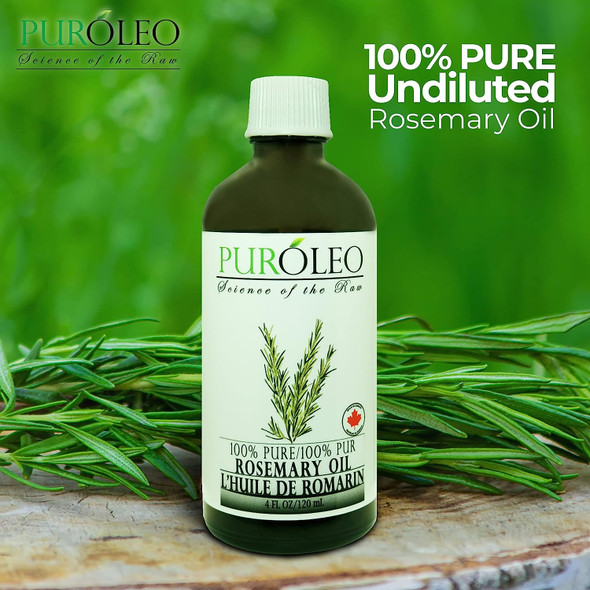 PUROLEO Rosemary Essential Oil, 4 FL OZ/120 ML (Large Bottle) 100% Pure Natural Undiluted, for Aromatherapy (MADE IN CANADA)