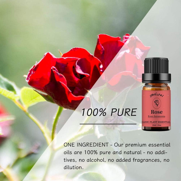 Rose Essential Oil, Aromatherapy Oils 100% Pure Gift Oils for Diffuser, Humidifier, Body Care, Massage - 3x10ML