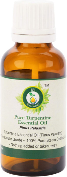 Turpentine Essential Oil | Pinus Palustris | For Painting | Turpentine Oil | For Pain Relief | 100% Pure Natural | Steam Distilled | 100ml | 3.38oz By R V Essential