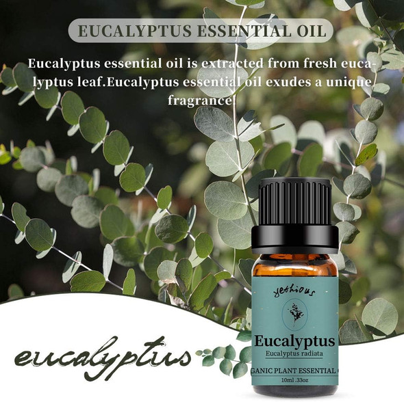 Yethious Eucalyptus Essential Oil 100% Pure Natural Organic Aromatherapy Oil 10ml for Massage,Skin Care,Diffuser,Humidifier