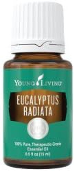 YL Eucalyptus Radiata Essential Oil 15ml