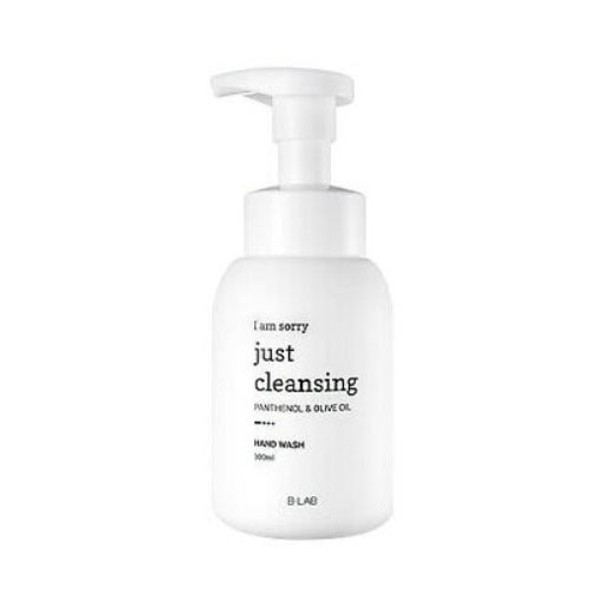 B_LAB I Am Sorry Just Cleansing Hand Wash 300ml