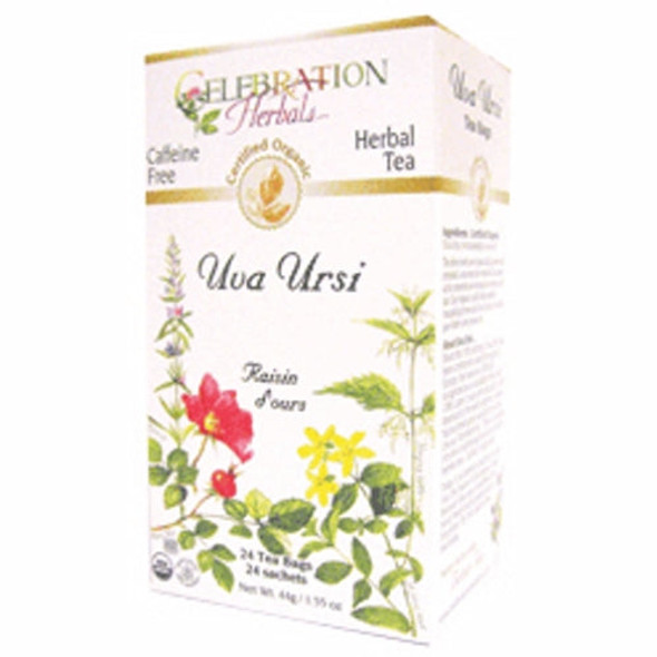Organic Uva Ursi Tea 24 Bags By Celebration Herbals