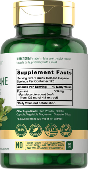 Carlyle Purslane Capsules 500Mg | 120 Count | 4:1 Extract Supplement | Portulaca Oleracea | Traditional Herb | Non-Gmo, Gluten
