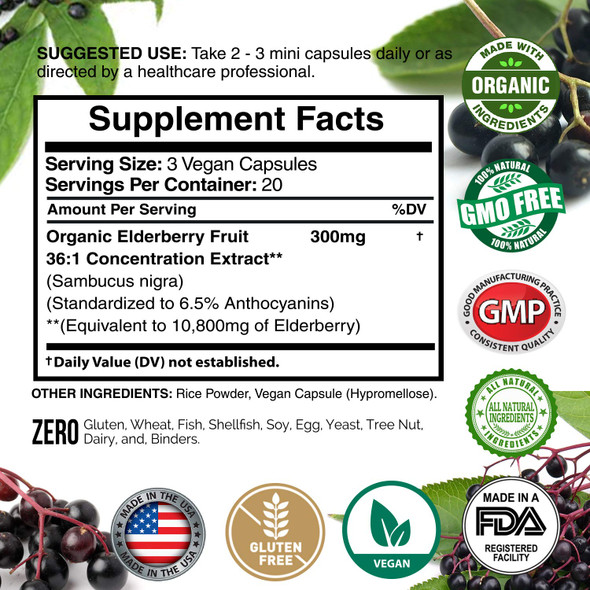 Elderberry European Organic 10,800mg [2 Pack] - Immune Support Immune System Booster, Elderberry Capsule, Black Elderberry for Immunity Support, Alternative to Elderberry Gummies, Elderberry Syrup