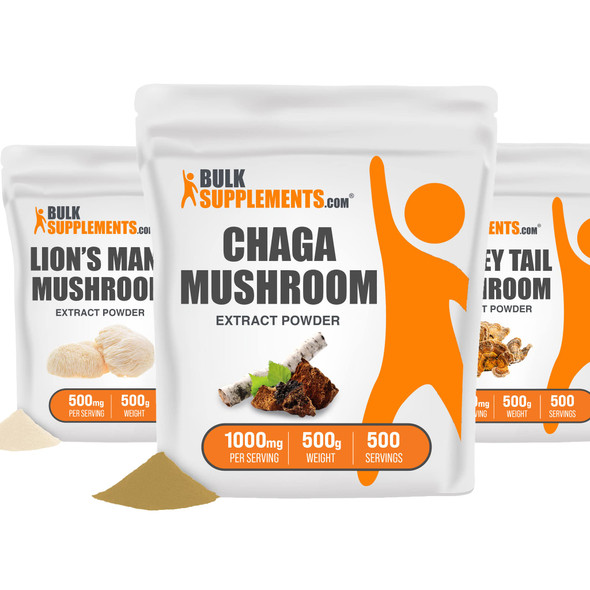 BulkSupplements Chaga Mushroom Extract Powder 500G, with Lion's Mane Mushroom Extract Powder 500G & Cordyceps Mushroom Extract (Cordyceps sinensis) 500G Bundle