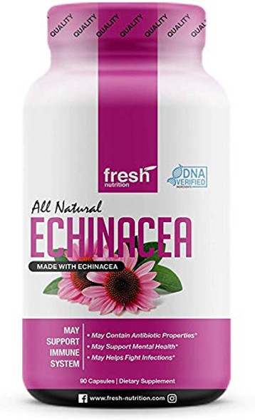 Echinacea - Strongest DNA Verified - Potent Strength for Winter Conditions - Vegan Friendly, Non GMO, Gluten and Soy Free