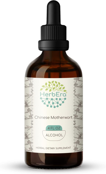 HerbEra - Chinese Motherwort A120 Alcohol Herbal Extract Tincture, Super-Concentrated Wildcrafted Chinese Motherwort (Yi Mu Cao, Leonurus japonicus) Dried Herb (4 Fl Oz)
