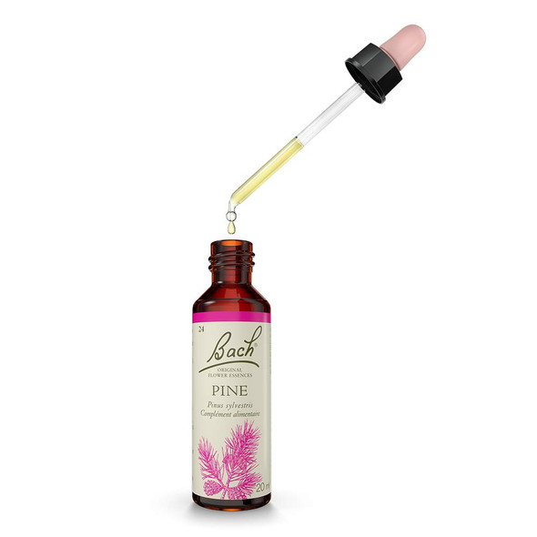 Pine ( Pin Sylvestre )