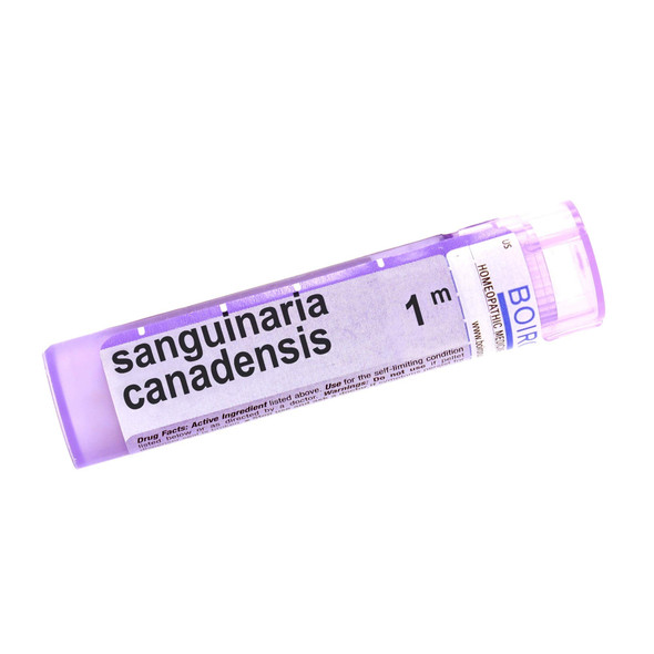 BOIRON USA - Sanguinaria Canadensis 1m [Health and Beauty]