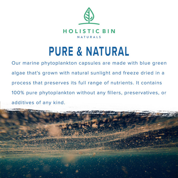 Holistic Bin Marine Phytoplankton Capsules ly Grown in Nordic Seawater | Vegan Omega 3 Supplement | Rich in Amino s, Chlorophyll, Vitamins, & Trace Minerals