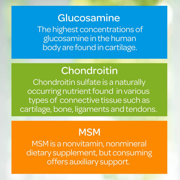 Glucosamine, Chondroitin & MSM-3 Per Day Formula by Puritans Pride