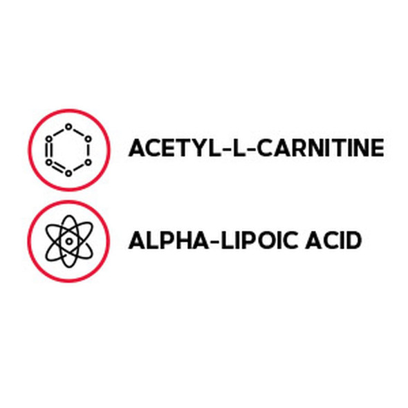 Gnc Acetyl-L-Carnitine Alpha-Lipoic Acid 500Mg / 200Mg - 60 Caplets