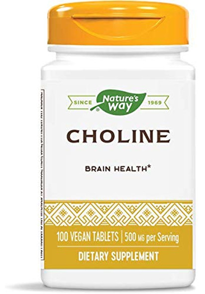Nature'S Way Choline, 500 Mg, 100 Tablets, Pack Of 2