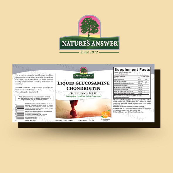 Nature'S Answer Liquid Glucosamine Chondroitin Orange 16 fl oz (480 ml)