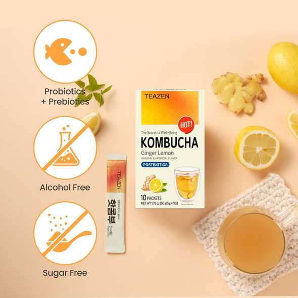 Teazen Hot Kombucha Ginger Lemon Flavor Variety Pack with Classic Eco Bottle (Kombucha Powder 40 Sticks Eco Bottle 1EA x 11.8oz)