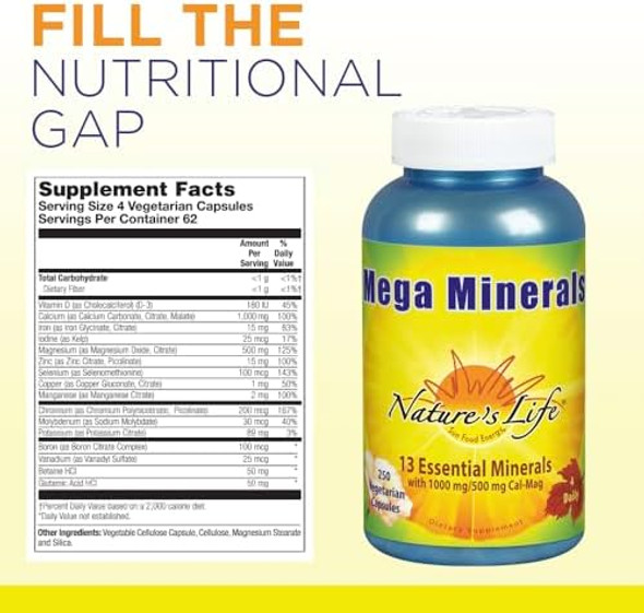 Nature'S Life Mega Minerals Complex  Complete Multi Mineral + Vitamin D Supplement  250 Vegetarian Capsules