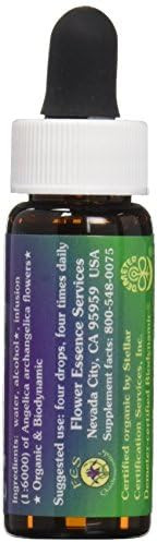 Flower Essence Services Angelica Essence 0.25 Ounce