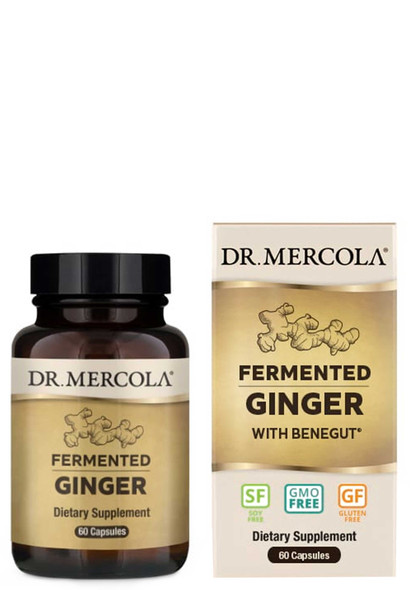 Dr. Mercola Fermented Ginger