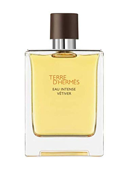 Hermes Terre D'Hermes Eau De Toilette Spray For Men 3.4 Ounce (Plain Box)