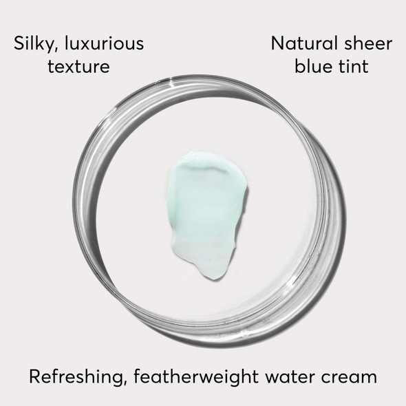 Marine Hyaluronic Acid Water Cream Skin Moisturizer - 1.7 oz from Naturium