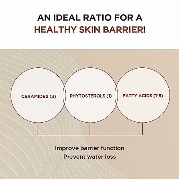 Skin1004 Madagascar Centella Probio-Cica Intensive Ampoule (50Ml)