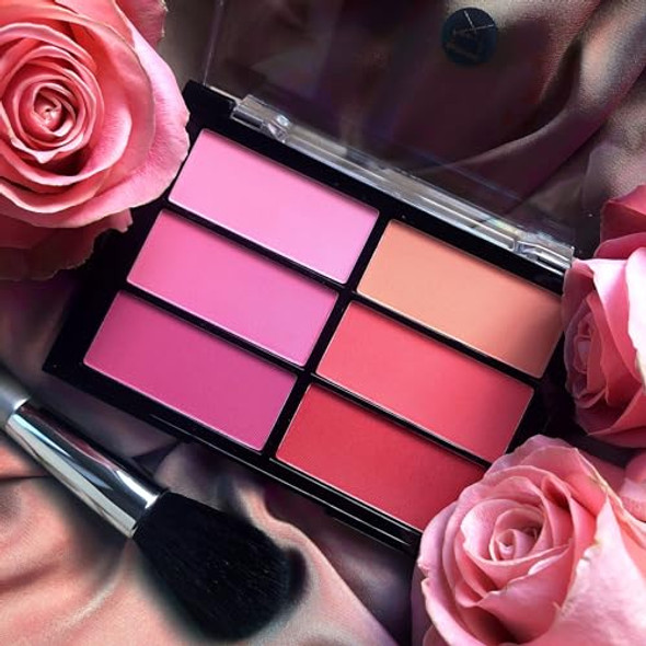 Viseart Paris Blush Palette Rose/Coral