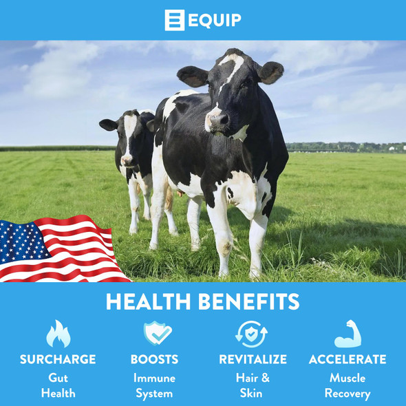 Equip Foods Core Bovine Colostrum Gummies - Delicious 1g Per Seving Grass Fed Colostrum Supplement - Gut Health Immunity Recovery Hair & Skin - 60 Bovine Colostrum Gummies 30 Servings Raspberry