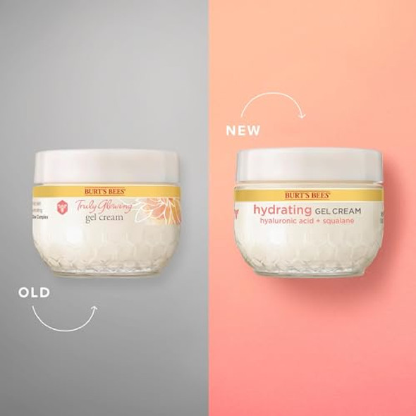 Burt'S Bees Truly Glowing Replenishing Gel Cream Moisturizer With Hydrate And Glow Complex For Normal And Combination Skin 1.8 Fluid Ounces (Packaging May Vary)