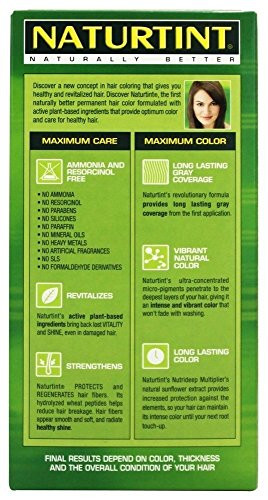 Naturtint Hair Color 6N Blonde Dark 0.33 Lb