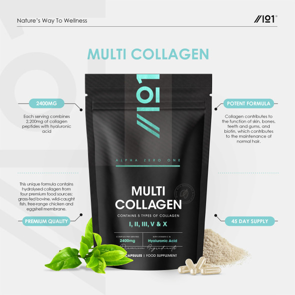 Revive Naturals Multi Collagen 2400mg – Types I II III V & X – 180 Capsules – Wild Caught Marine Grass Fed Bovine Eggshell & Free-Range Chicken Collagen Powder with Hyaluronic Acid & Vitamin C – by Alpha01