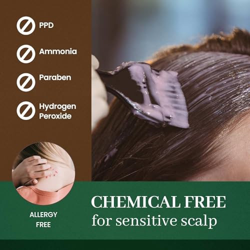 Color Cream(Soft Black) & Seven Eight Gray Cover Hair Tint (Natural Black) Ppd- Ammonia- Vegan Gray Coverage Dye Sun Protection, Odorless, Gentle For Sensitive Scalp