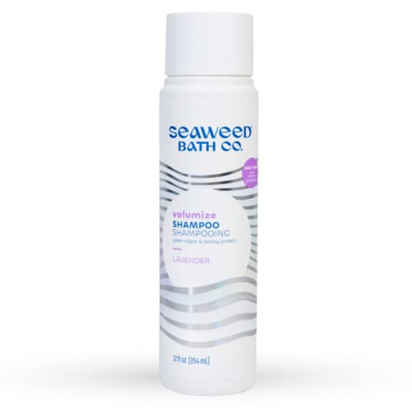 Seaweed Bath Co. Volumize Shampoo, Lavender Scent, 12 Ounce, Sustainably Harvested Seaweed, Green Algae, Barley Protein, For Normal To Fine Hair