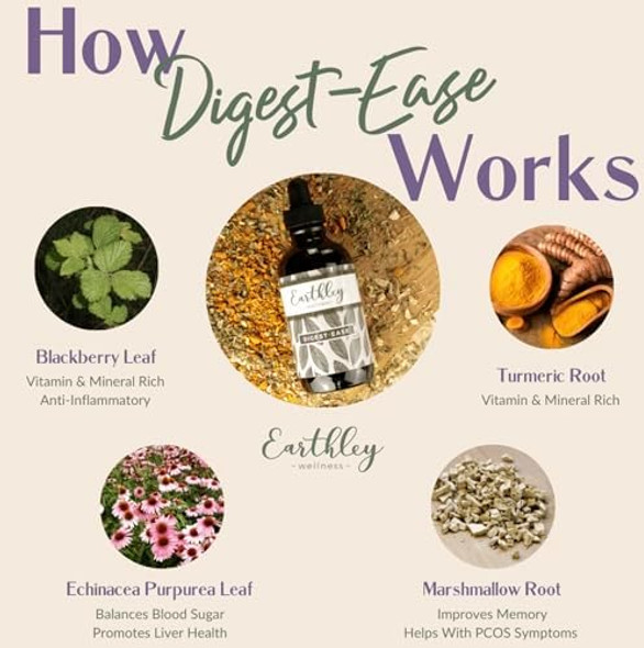 Earthley Wellness Digest Ease, Herbal Digestive Support Tincture For Gut Health, Stomach Relief, And Digestive Wellness  Organic Herbs Like Ecea Leaf, Turmeric Root, Marshmallow Root, (2Oz) Earthley Wellness Digest Ease, Herbal Digestive Support Tincture For Gut Health, Stomach Relief, And Digestive Wellness  Organic Herbs Like Ecea Leaf, Turmeric Root, Marshmallow Root, (2Oz)