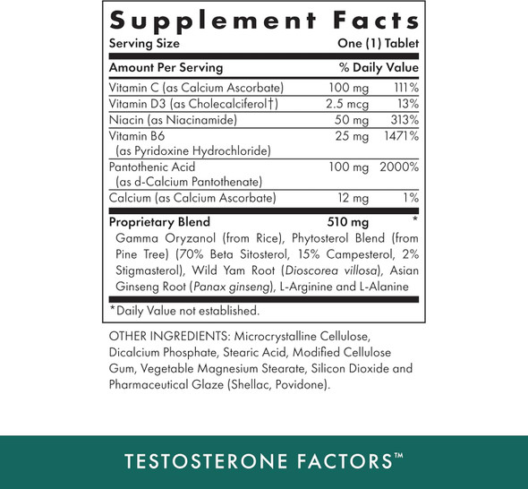 Michael'S Health Naturopathic Programs Testosterone Factors - 60 Vegetarian Tablets - Nutrients To Support Testosterone Production - Kosher - 90 Servings