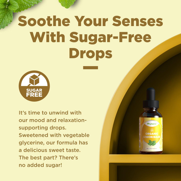 Phytoral Organic Lemon Balm Leaf Liquid Extract For Immune Support - Lemon Balm Tincture For Mood & Relaxation Support - Organic Tincture Leaf Drops For Adults & Kids Dietary Supplement - 60 Ml Phytoral Organic Lemon Balm Leaf Liquid Extract For Immune Support - Lemon Balm Tincture For Mood & Relaxation Support - Organic Tincture Leaf Drops For Adults & Kids Dietary Supplement - 60 Ml
