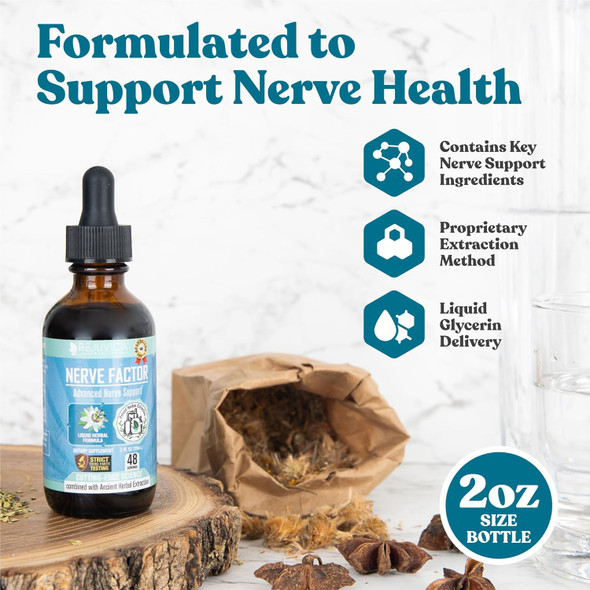 Rejuvica Health Nervefactor - Advanced Nerve Support Supplement - Liquid Delivery For Better Absorption - Acetyl-L-Carnitine, Alpha Lipoic Acid, Vitamin B12, Folic Acid, White Willow Bark & More Rejuvica Health Nervefactor - Advanced Nerve Support Supplement - Liquid Delivery For Better Absorption - Acetyl-L-Carnitine, Alpha Lipoic Acid, Vitamin B12, Folic Acid, White Willow Bark & More