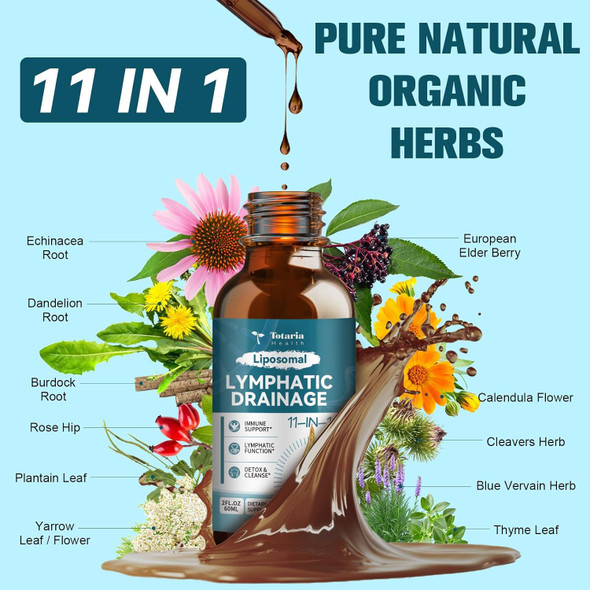 Totaria Liposomal Lymphatic Drainage Drops - 11 In 1 Organic Lymphatic Drainage Supplement With Burdock Root, Ecea, Elderberry, Calendula, Cleavers Herb, Dandelion Supports Lymphatic Health 2 Fl.Oz Totaria Liposomal Lymphatic Drainage Drops - 11 In 1 Organic Lymphatic Drainage Supplement With Burdock Root, Ecea, Elderberry, Calendula, Cleavers Herb, Dandelion Supports Lymphatic Health 2 Fl.Oz