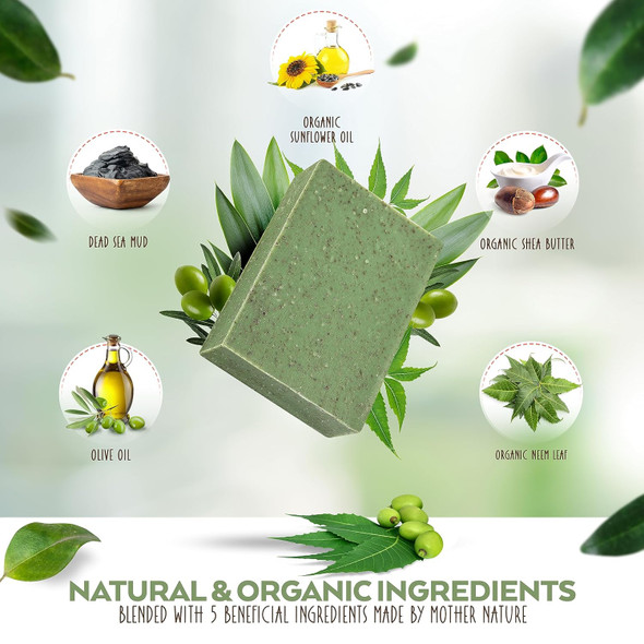 Aspen Kay Naturals Dead Sea Mud And Neem Soap - With Organic Shea Butter & Olive Oil. A Wonderful Neem Face Wash For All Skin Types. Handmade Soap - Made In Usa. (2 Pack)