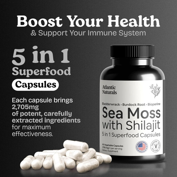 Atlantic Naturals Sea Moss Capsules With Moringa Ashwagandha Black Seed Oil Ginger & Ginseng – Atlantic Sea Moss Supplements For Men And Women – For Daily Energy & Wellness Blend – 120 Count