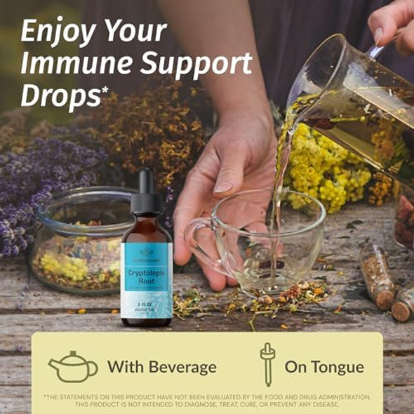 Herbamama Liquid Drops Kit - Bundle Of Cryptolepis Root & Black Elderberry Tincture 2 Fl Oz - Vegan Non-Gmo Sugar & Alcohol- - 2 Pack Herbamama Liquid Drops Kit - Bundle Of Cryptolepis Root & Black Elderberry Tincture 2 Fl Oz - Vegan Non-Gmo Sugar & Alcohol- - 2 Pack