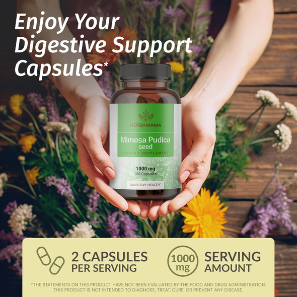 Herbamama Mimosa Pudica Seed Capsules - 1000Mg Mimosa Pudica Extract Powder For Digestive Cleanse & Detox - Vegan Non-Gmo Digestive Support Supplement 100 Caps Herbamama Mimosa Pudica Seed Capsules - 1000Mg Mimosa Pudica Extract Powder For Digestive Cleanse & Detox - Vegan Non-Gmo Digestive Support Supplement 100 Caps