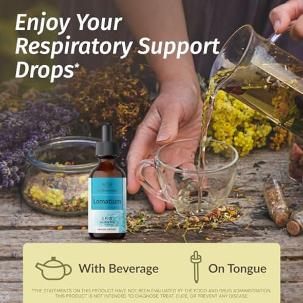 Herbamama Liquid Drops Kit - Bundle Of Lobelia Extract & Black Elderberry Tincture 2 Fl Oz - Vegan Non Gmo Sugar & Alcohol- - 2 Pack Herbamama Liquid Drops Kit - Bundle Of Lobelia Extract & Black Elderberry Tincture 2 Fl Oz - Vegan Non Gmo Sugar & Alcohol- - 2 Pack