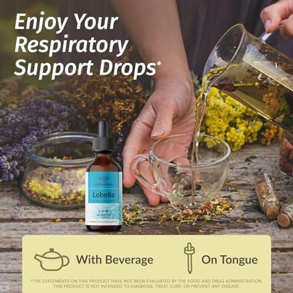 Herbamama Herbal Liquid Drops Kit - Bundle Of Lobelia Extract And Lemon Balm Tincture 2 Fl Oz - Vegan Non-Gmo Sugar & Alcohol- - 2 Pack