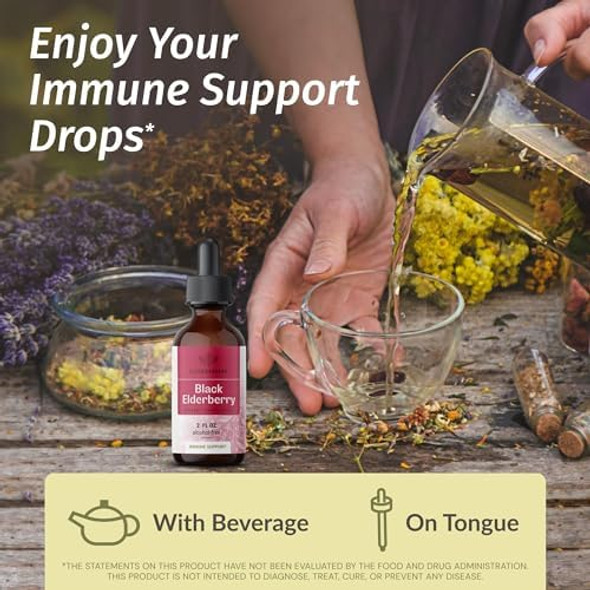 Herbamama Herbal Liquid Drops Kit - Bundle Of Black Elderberry Extract And Mullein Leaf Tincture 2 Fl Oz - Vegan Non-Gmo Sugar & Alcohol- - 2 Pack
