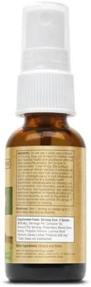 Honey Gardens Bee Propolis Throat Spray  With Apitherapy Raw Honey Licorice Root And Usnea  50 Servings  1 Fl. Oz.