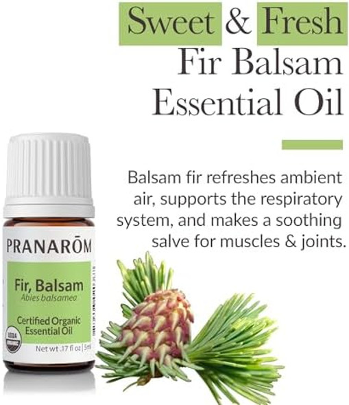 Pranarom - Fir Balsam Essential Oil 5Ml - Diffusing For Relaxation Therapy -  Organic Purity - Sustainably Harvested Non-Gmo Cruelty- - Supports Respiratory Health Pranarom - Fir Balsam Essential Oil 5Ml - Diffusing For Relaxation Therapy -  Organic Purity - Sustainably Harvested Non-Gmo Cruelty- - Supports Respiratory Health