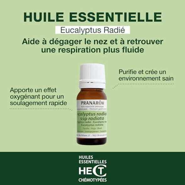 Pranarôm - Eucalyptus Radiata Essential Oil - Leaf - 10 Ml Pranarôm - Eucalyptus Radiata Essential Oil - Leaf - 10 Ml